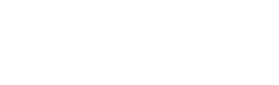 Paladin Labs Logo
